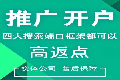 SEM竞价代运营：案例展示数据分析与应用